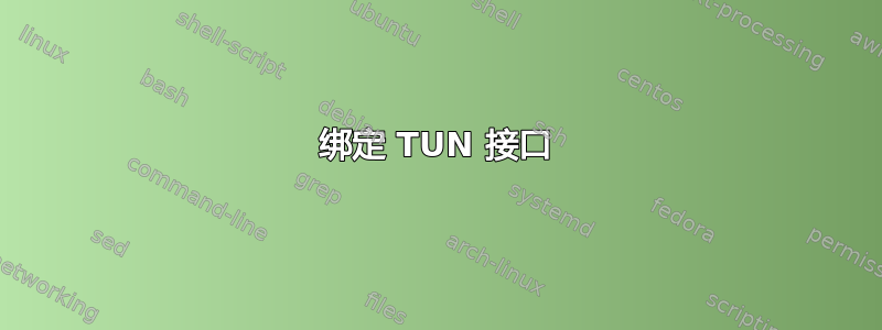 绑定 TUN 接口