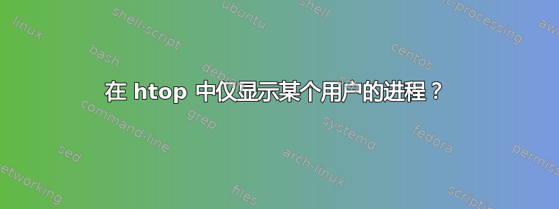 在 htop 中仅显示某个用户的进程？