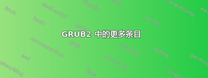 GRUB2 中的更多条目 