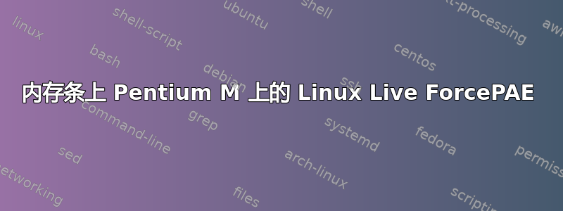 内存条上 Pentium M 上的 Linux Live ForcePAE