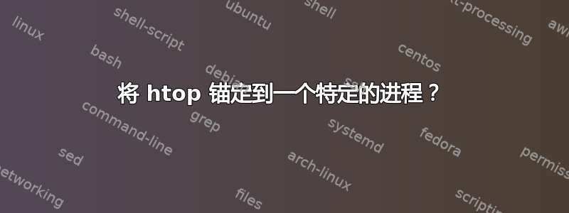 将 htop 锚定到一个特定的进程？