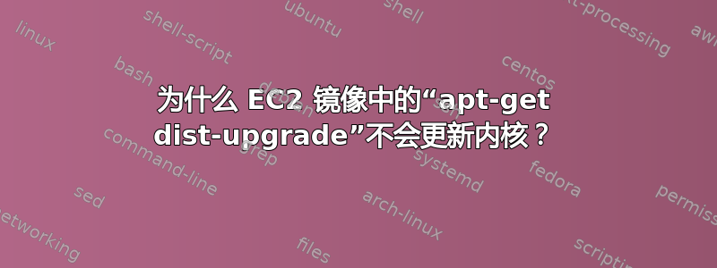 为什么 EC2 镜像中的“apt-get dist-upgrade”不会更新内核？