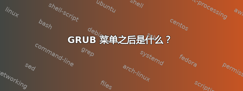 GRUB 菜单之后是什么？