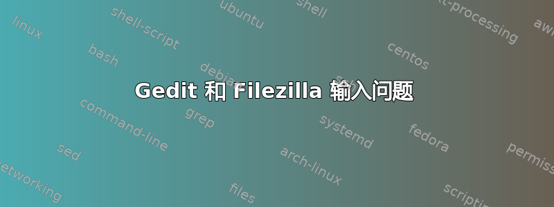 Gedit 和 Filezilla 输入问题