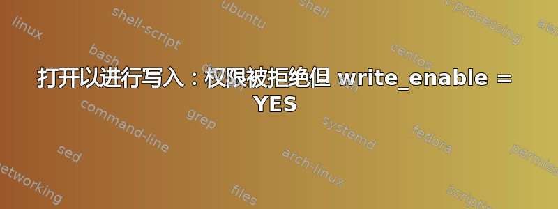 打开以进行写入：权限被拒绝但 write_enable = YES