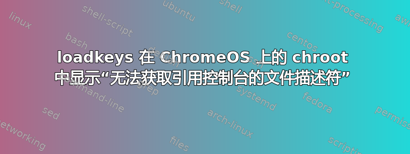 loadkeys 在 ChromeOS 上的 chroot 中显示“无法获取引用控制台的文件描述符”