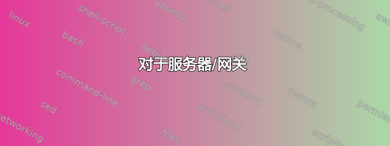 对于服务器/网关