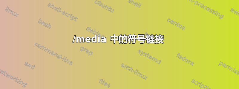 /media 中的符号链接