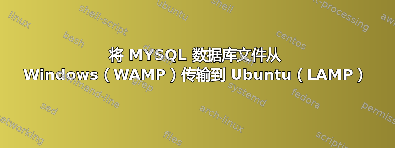 将 MYSQL 数据库文件从 Windows（WAMP）传输到 Ubuntu（LAMP）