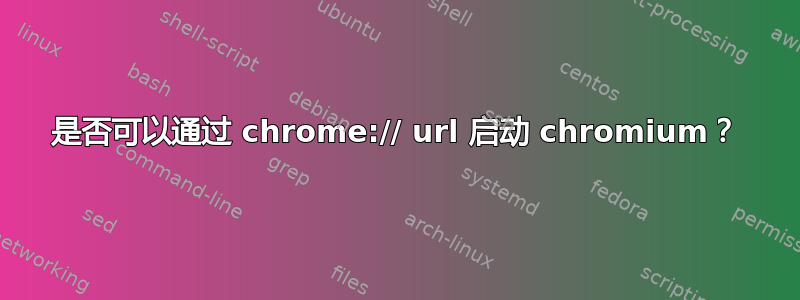 是否可以通过 chrome:// url 启动 chromium？