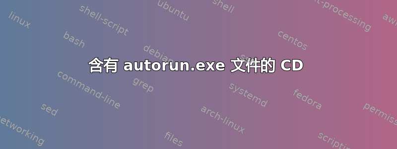 含有 autorun.exe 文件的 CD