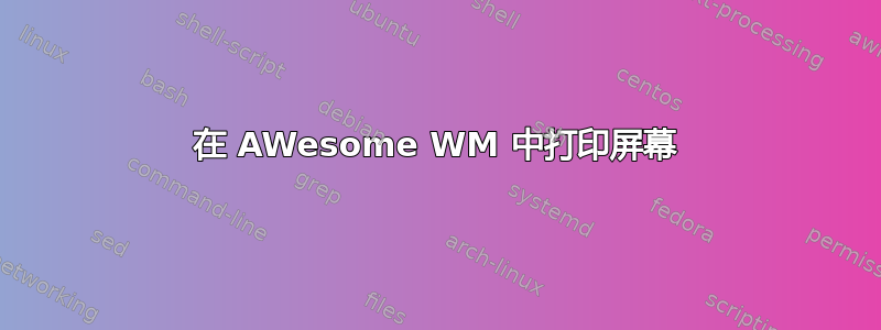 在 AWesome WM 中打印屏幕