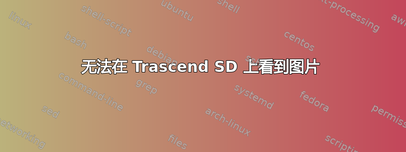 无法在 Trascend SD 上看到图片