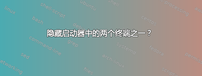 隐藏启动器中的两个终端之一？