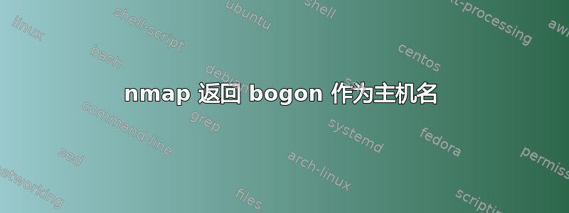 nmap 返回 bogon 作为主机名