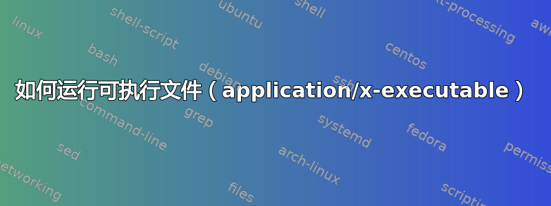 如何运行可执行文件（application/x-executable）