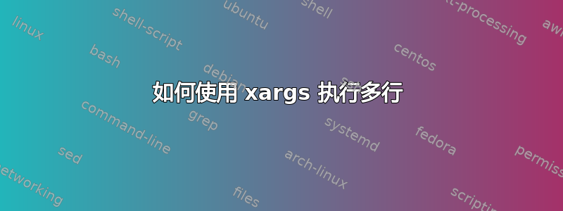 如何使用 xargs 执行多行