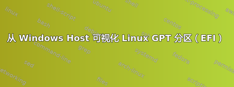 从 Windows Host 可视化 Linux GPT 分区（EFI）