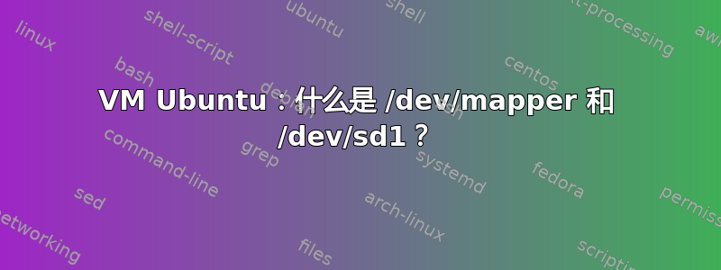 VM Ubuntu：什么是 /dev/mapper 和 /dev/sd1？