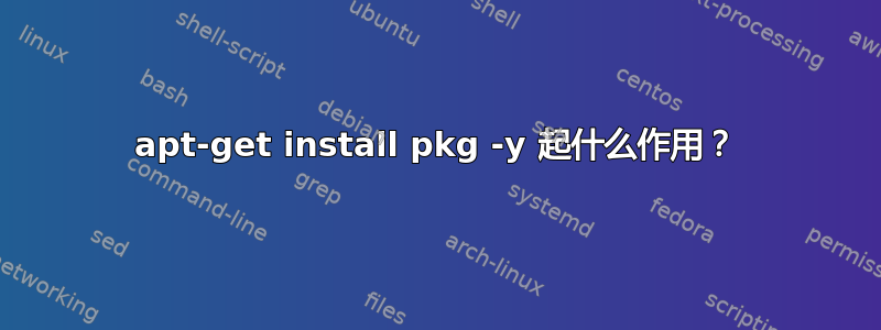 apt-get install pkg -y 起什么作用？