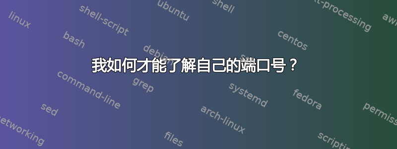 我如何才能了解自己的端口号？