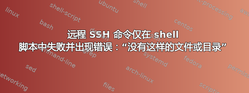 远程 SSH 命令仅在 shell 脚本中失败并出现错误：“没有这样的文件或目录”