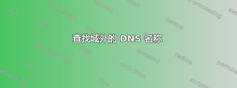 查找域外的 DNS 名称