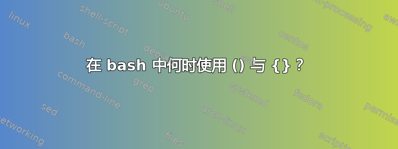 在 bash 中何时使用 () 与 {}？