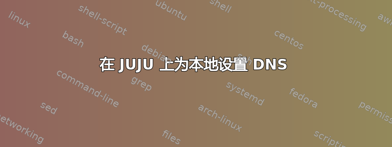 在 JUJU 上为本地设置 DNS