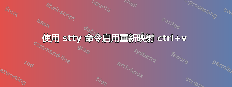 使用 stty 命令启用重新映射 ctrl+v