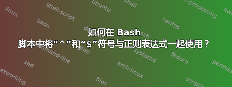 如何在 Bash 脚本中将“^”和“$”符号与正则表达式一起使用？