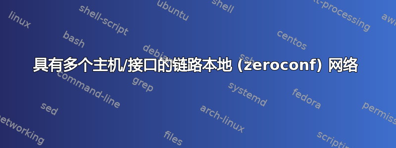 具有多个主机/接口的链路本地 (zeroconf) 网络