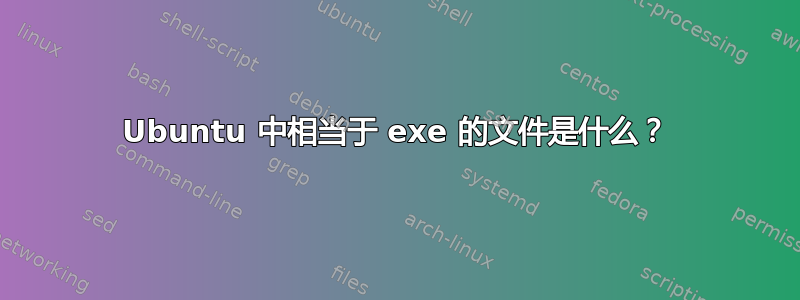 Ubuntu 中相当于 exe 的文件是什么？