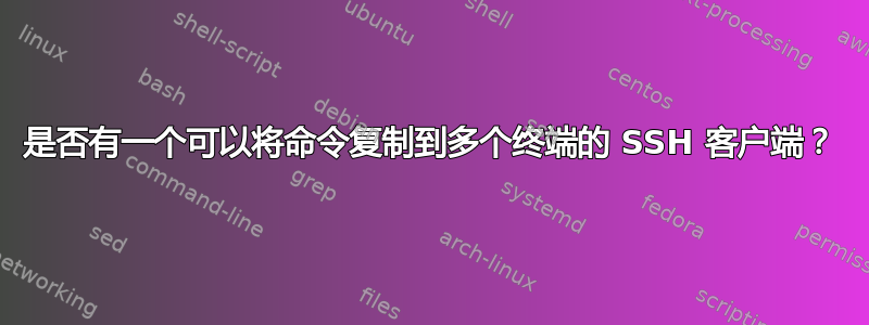 是否有一个可以将命令复制到多个终端的 SSH 客户端？