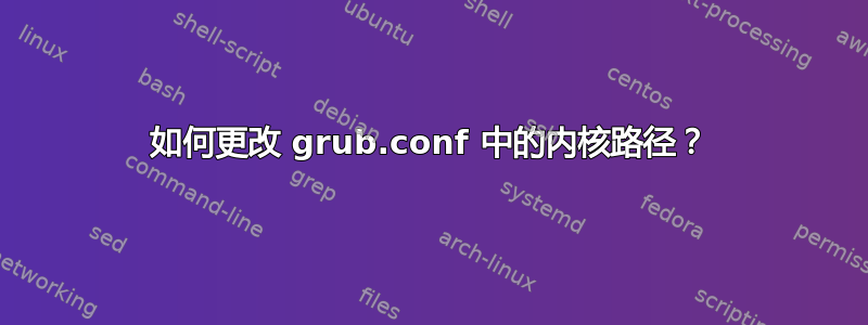 如何更改 grub.conf 中的内核路径？