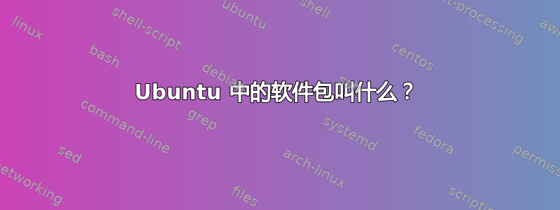 Ubuntu 中的软件包叫什么？