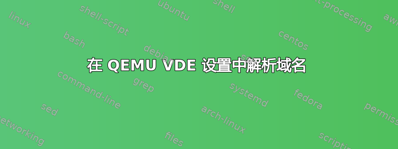 在 QEMU VDE 设置中解析域名