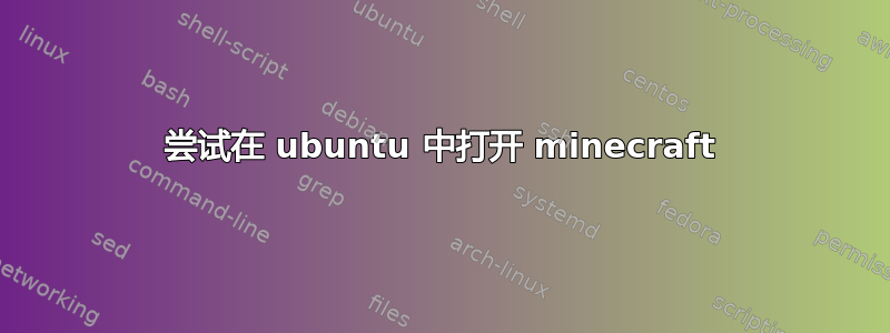 尝试在 ubuntu 中打开 minecraft