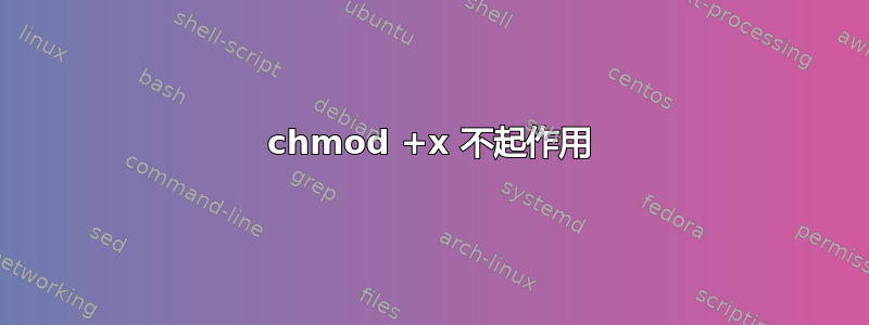 chmod +x 不起作用