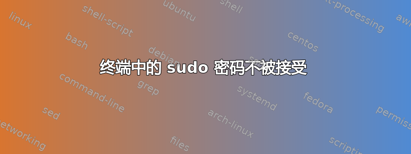 终端中的 sudo 密码不被接受