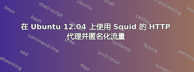 在 Ubuntu 12.04 上使用 Squid 的 HTTP 代理并匿名化流量