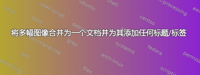 将多幅图像合并为一个文档并为其添加任何标题/标签