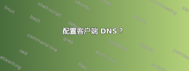 配置客户端 DNS？