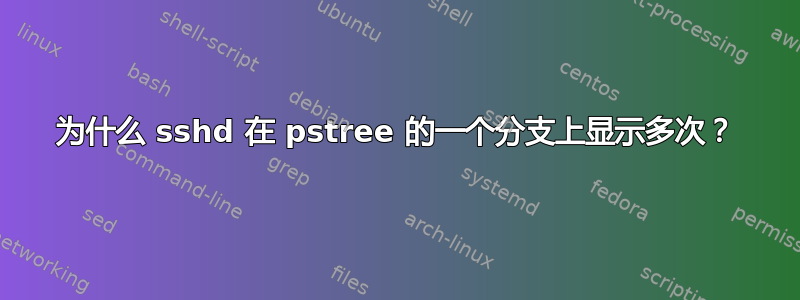 为什么 sshd 在 pstree 的一个分支上显示多次？