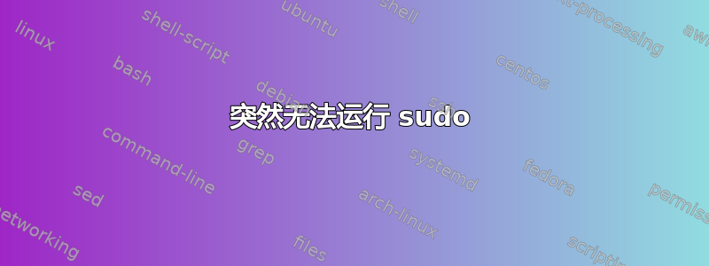 突然无法运行 sudo