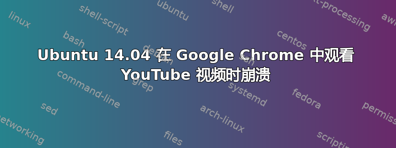 Ubuntu 14.04 在 Google Chrome 中观看 YouTube 视频时崩溃