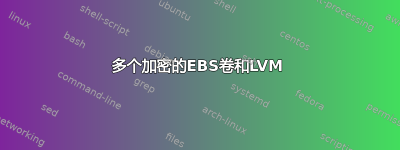 多个加密的EBS卷和LVM