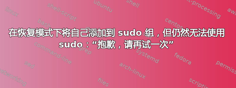 在恢复模式下将自己添加到 sudo 组，但仍然无法使用 sudo：“抱歉，请再试一次”