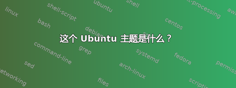 这个 Ubuntu 主题是什么？