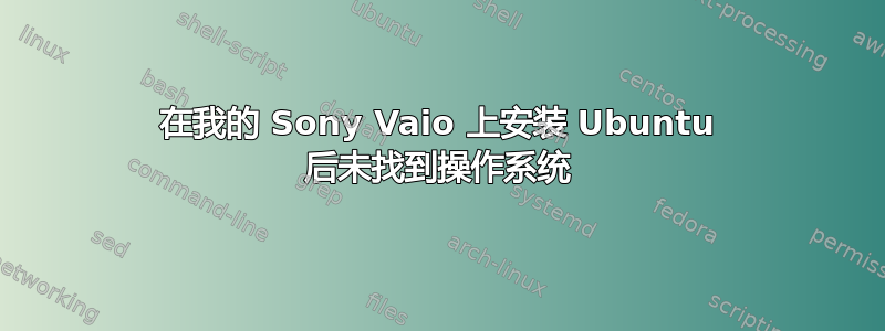 在我的 Sony Vaio 上安装 Ubuntu 后未找到操作系统